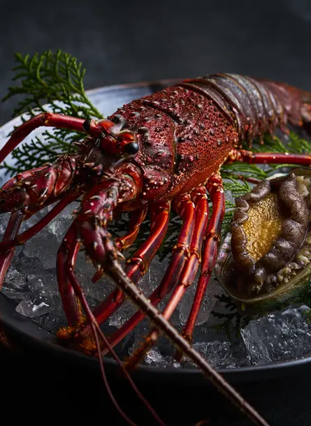 효고의 열두 계절을 온천에 담고, 불로 빚어내며, 숲속에서 만끽하다.