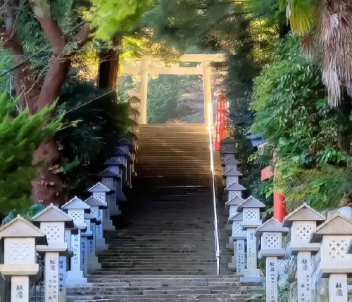 식사
