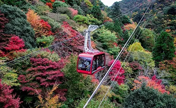 롯코 아리마 로프웨이
